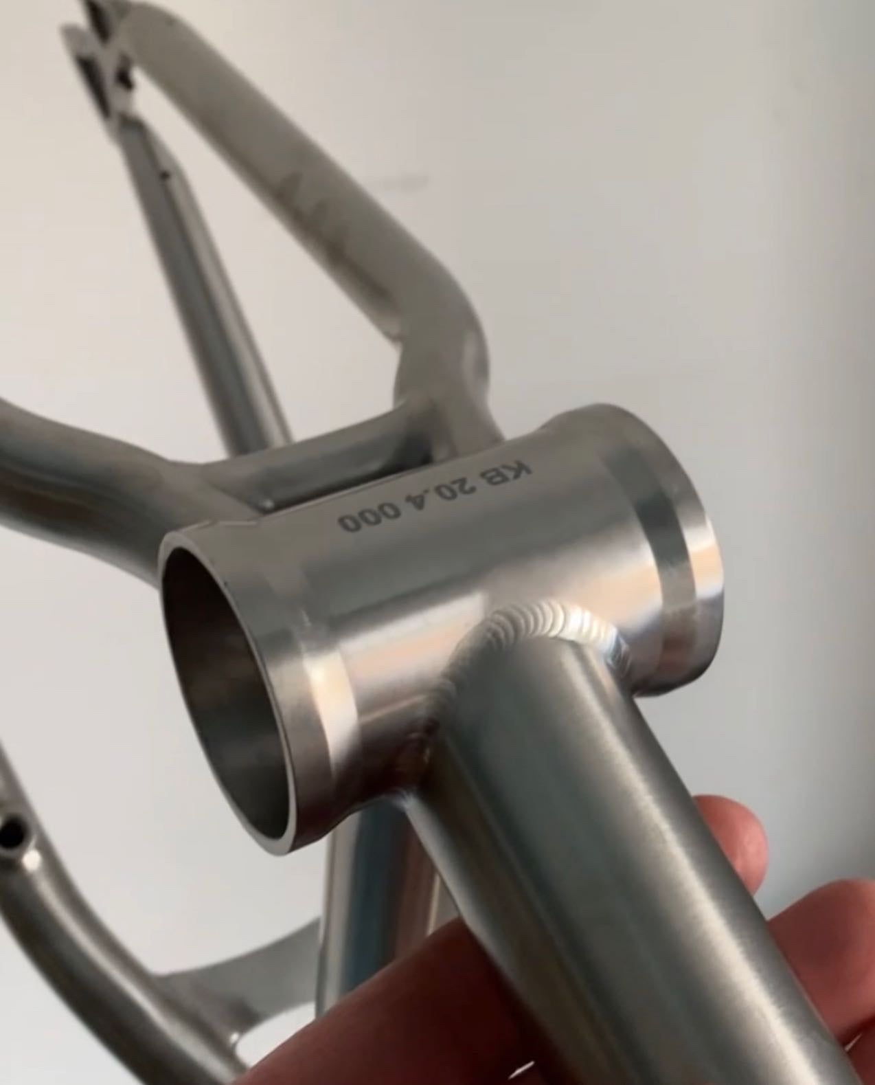 Titanium Killabee Frame