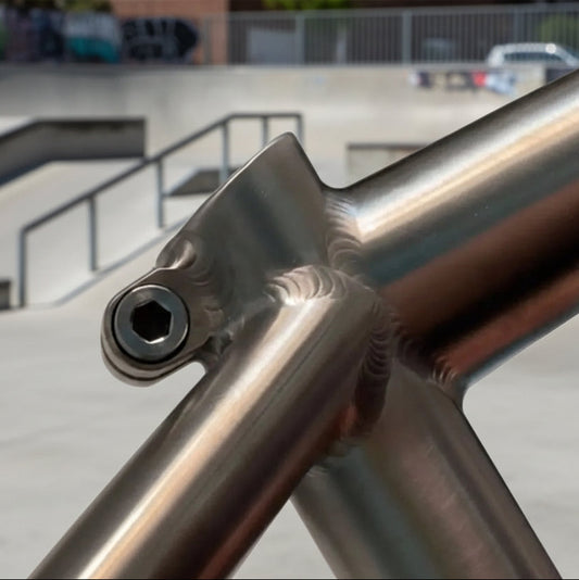 Titanium Killabee Frame