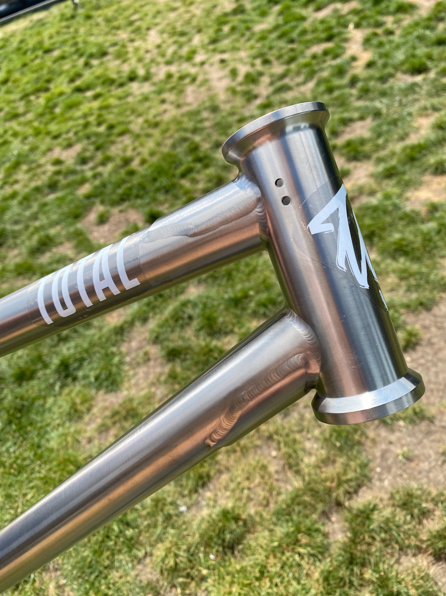 Titanium Killabee Frame